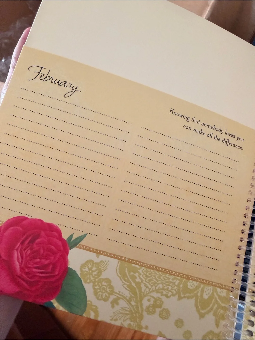 New special people, date, event reminder book. Never used. Holds cards to send
